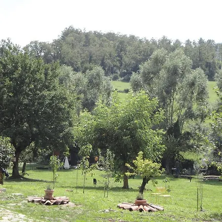 Shalom * Pennabilli