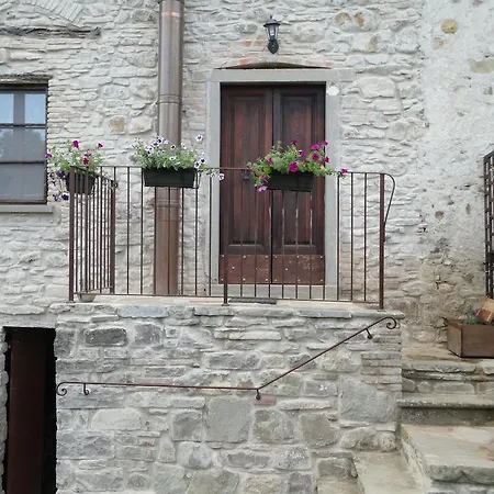 Bed & Breakfast Shalom *