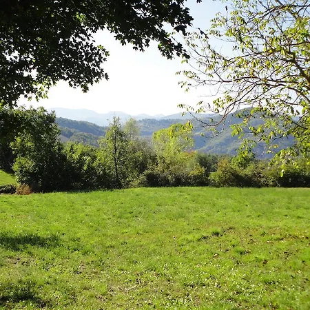 Shalom Pennabilli